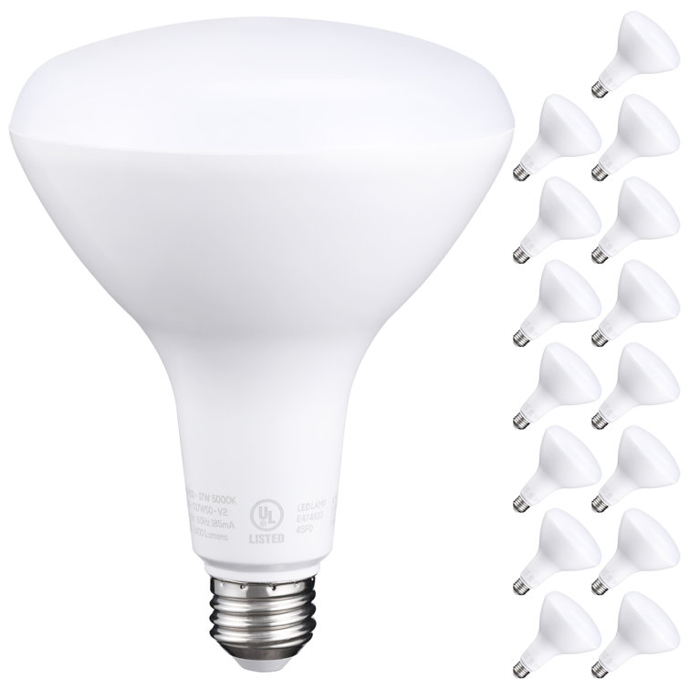 Dimmable LED Flood Light, BR40 Light Bulbs, E26 Base, UL Listed, 17W, 1400  Lumens, 5000K Daylight